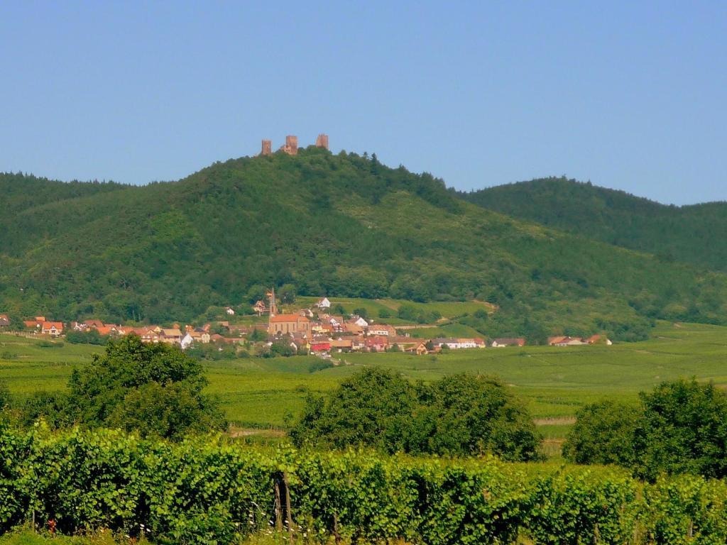 Chambres D'Hotes Gilles Schneider Husseren-les-Chateaux Bagian luar foto