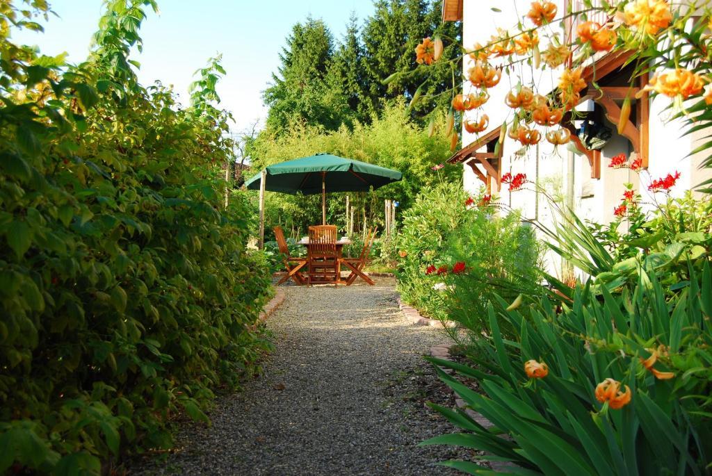 Chambres D'Hotes Gilles Schneider Husseren-les-Chateaux Bagian luar foto